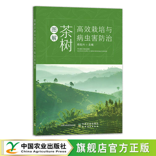图解茶树高效栽培与病虫害防治 杨如兴 茶园 管理技术 29844 商品图0