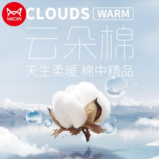 【60支婴儿棉】【L-3XL】男士秋冬婴儿棉保暖内衣套装猫人 商品图7