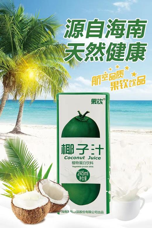 果钦利乐椰子汁245ml*24/箱 商品图0