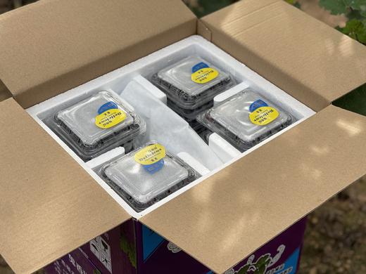 锦州玫瑰香葡萄 3斤12小盒 粒果装 商品图1