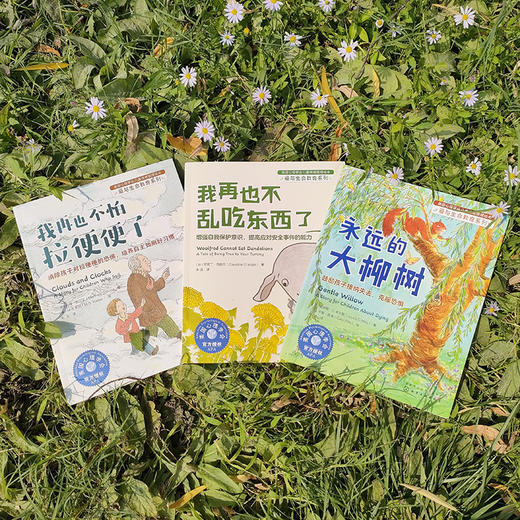 美国心理学会儿童情绪管理绘本：爱与生命教育系列 商品图8