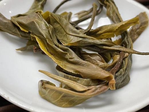 22春·南糯山·古树古树·200克饼 商品图6