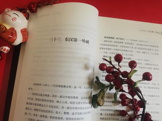 《谷园讲通鉴 东汉兴衰史》全2册，一部简明生动的东汉史！妙趣通解《后汉书》，谋略博弈，思想激荡，悲歌慷慨！ 商品图10