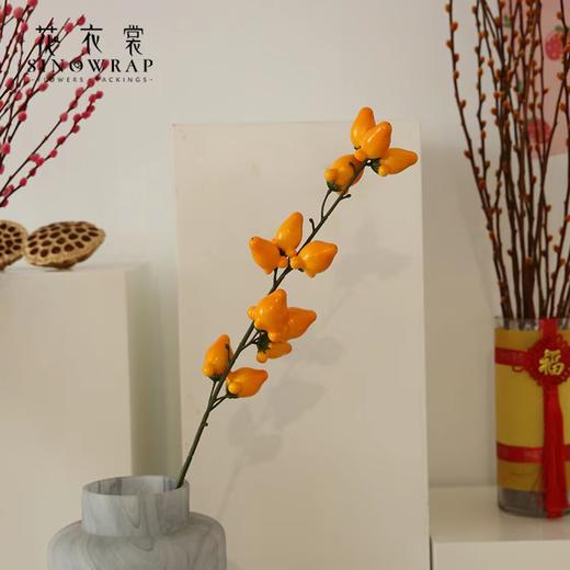 【年宵果实类】仿真水果系列/新年果实累累（大柿子/红石榴/黄金果） 商品图5