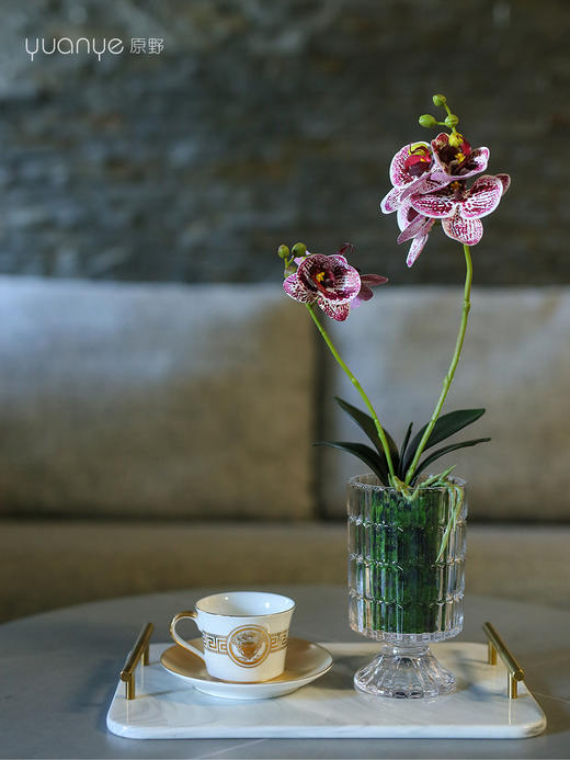 新中式仿真蝴蝶兰摆件假花酒店客厅餐桌玄关花卉仿真花装饰摆设花 商品图3