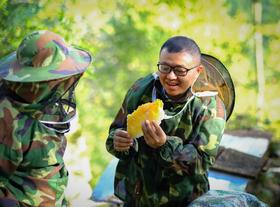  深入秦岭南麓腹地割蜜第三年，向更深处探索吧！ 
