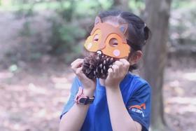 悦读自然之【掉落的礼物】体验课