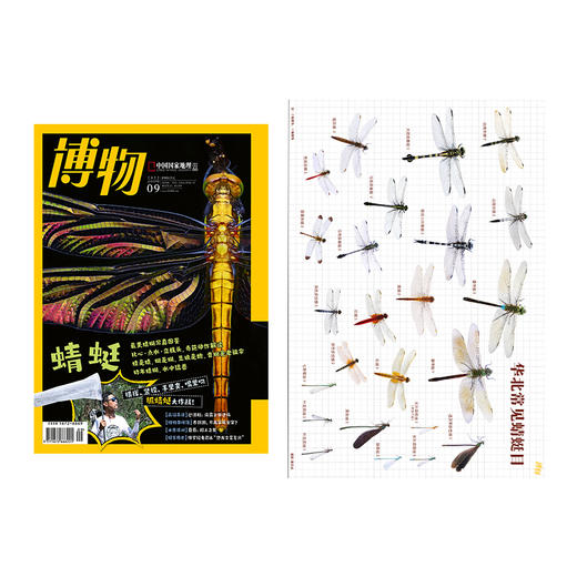 【超值赠海报】《博物》杂志2022年3月/6月/9月任选赠海报 苔藓 蜜蜂 恐龙 蜻蜓主题  包邮 商品图2