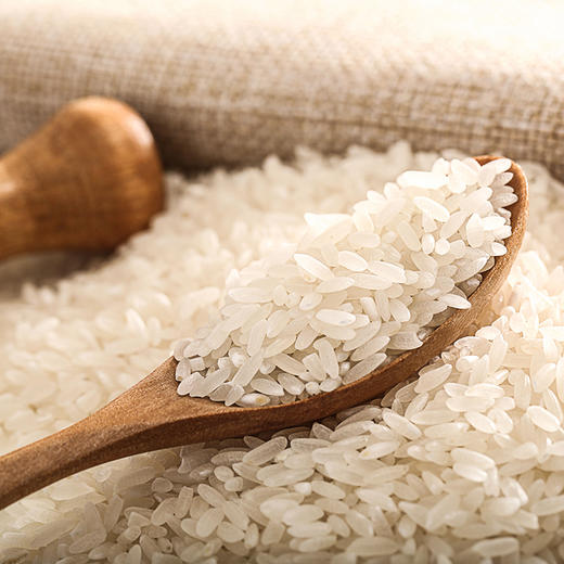 家香米LX2122009 商品图0