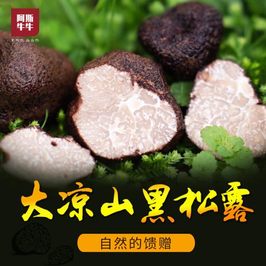 【凉山精选】大凉山会东黑松露1斤/3斤装 鲜松露 商品图0