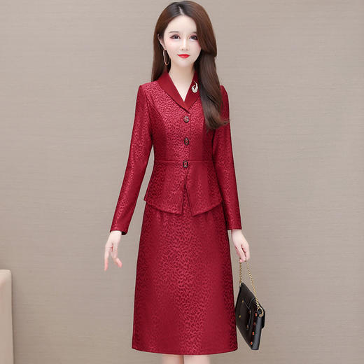 YWE 1033修身长袖气质长袖连衣裙 商品图0