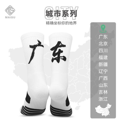 🏃‍♂️🏃‍♀️跑马袜【💰29.9元2双！】LINGTU省份专业跑马实战训练运动袜 商品图0