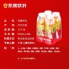 东鹏特饮维生素功能饮料 商品缩略图2