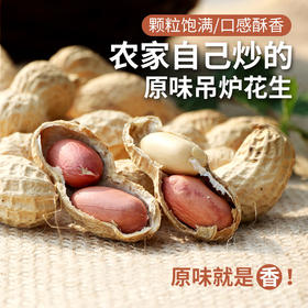 农家自炒的原味吊炉花生  传统味道  优选花生  颗粒饱满  口感酥香  炒花生 1斤