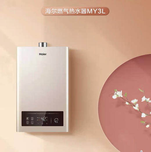 海尔（Haier）热水器 JSQ25-13MY3L(12T)U1 商品图0