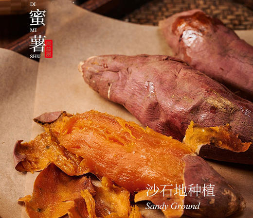 迁西山地蜜薯5斤装 商品图0