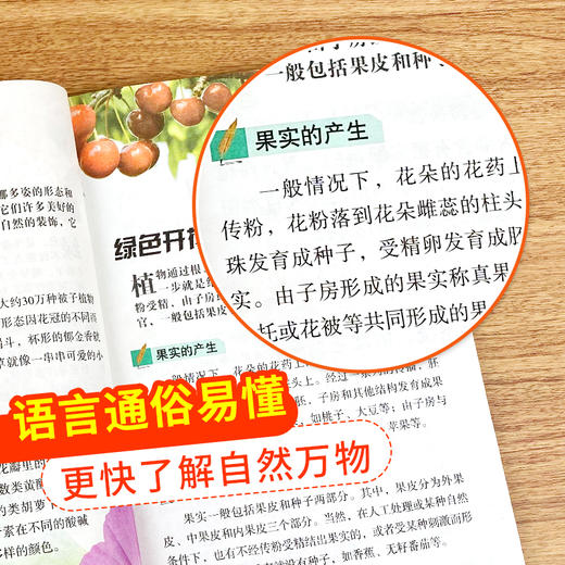 【6-12岁】《送给孩子的科普探索》（共4册） 商品图3