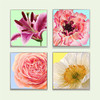 多喜爱高清数码布艺装饰画 清新花卉系列 cs 商品缩略图0