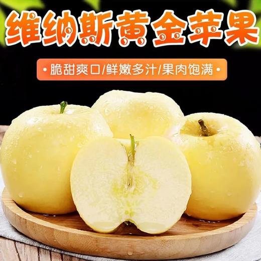 山东威海黄金维纳斯苹果4.5-5斤普通快递 商品图0