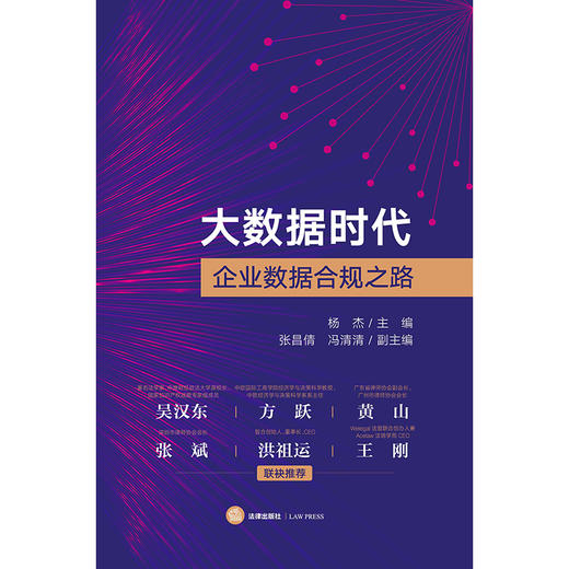 大数据时代企业数据合规之路  杨杰主编 张昌倩 冯清清副主编 商品图6