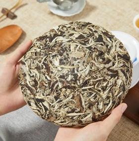 神秘的月光白，究竟是什么茶？