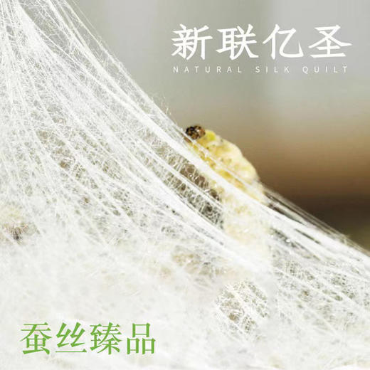 桑蚕丝被纯手工定制，48小时内发货（广东省外不包邮)【龙菲精选X放心甄选】【XLYS】 商品图2