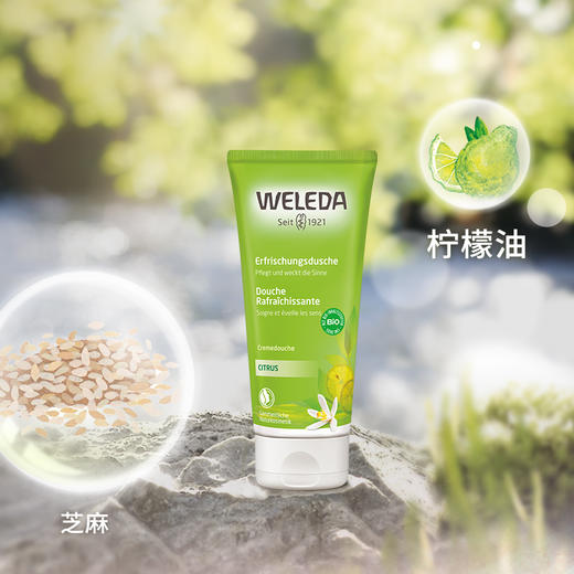 【品牌旗舰】WELEDA维蕾德 柑橘清新沐浴乳液 保湿滋润200ml 商品图3