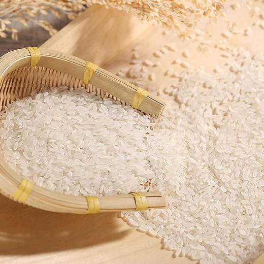 家香米LX2122009 商品图1