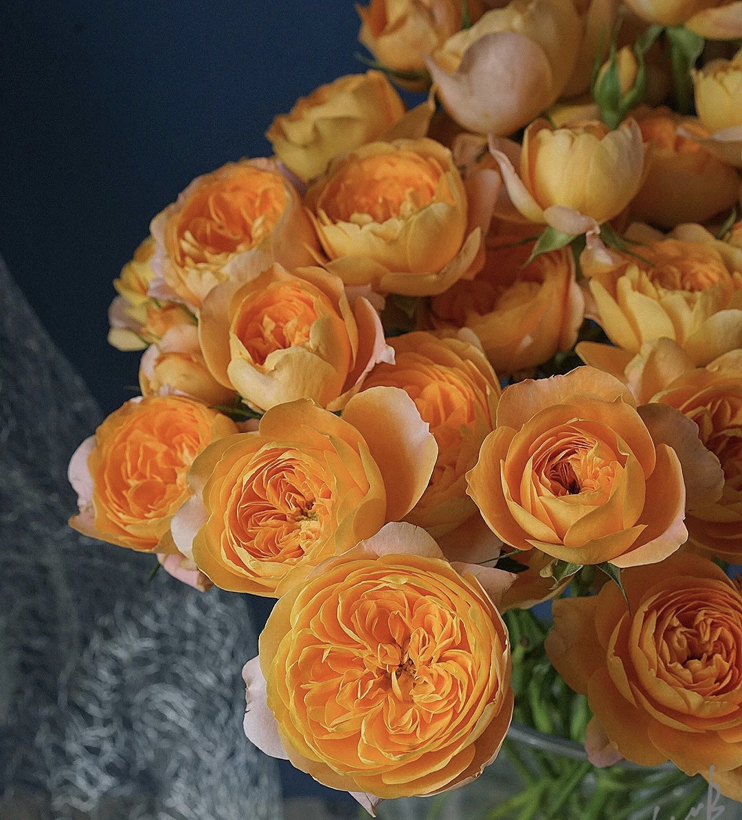 【市场多头】果汁阳台  10枝/扎  50公分