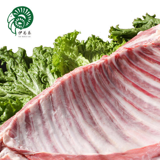 伊为乐 宁夏盐池滩羊肉 180天羔羊 羊排1000g/2斤 无脊羊排 烧烤 红烧 清炖 火锅食材 国产生鲜羊肉 商品图2