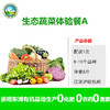 【东滩绿港】崇明有机蔬菜大箱A套餐 商品缩略图0