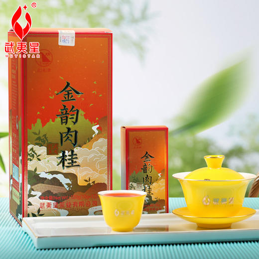 【新品上市，武夷岩茶】武夷星金韵肉桂茶叶120克礼盒装 商品图0
