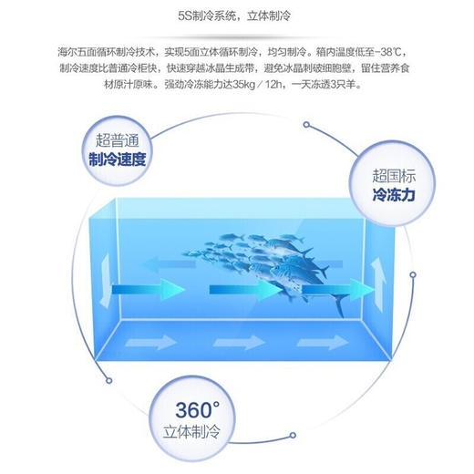 海尔冰柜商用1028升 冷藏冷冻转换电子控温低温顶开门冷柜BC/BD-1028T 商品图7