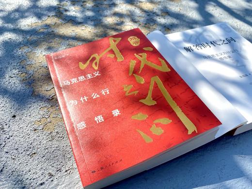 解答时代之问——马克思主义为什么行感悟录 商品图1