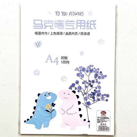 A3 a4美术绘画用纸图画A4 纸马克笔专用纸100克 120克 20张/包 商品图2