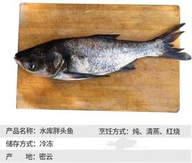 密云水库野生胖头鱼6斤礼品卡