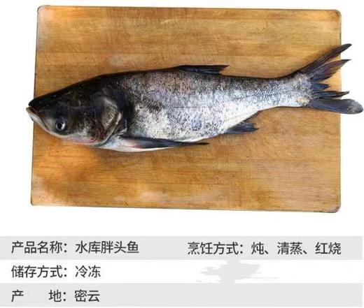 密云水库野生胖头鱼6斤礼品卡 商品图0