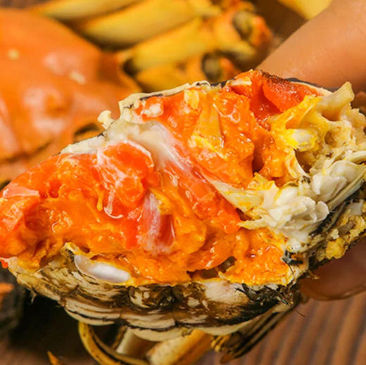 2025正宗的阳澄湖大闸蟹来了！只选精品阳澄湖大闸蟹 口感肥美 黄肥膏白 蟹黄鲜香，产地顺丰直达到家 商品图12