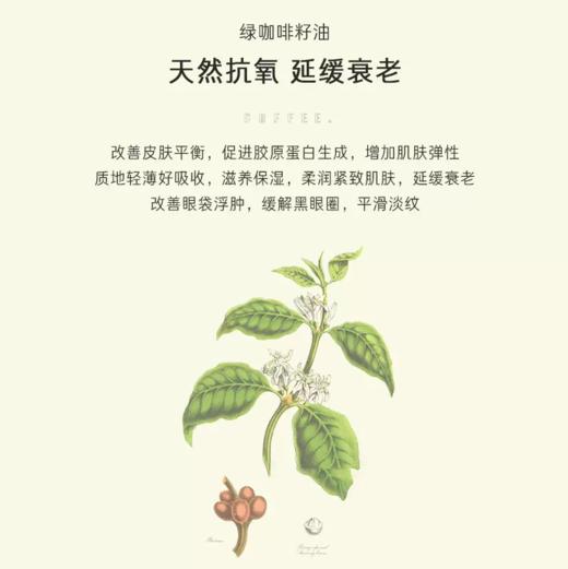 【340元会员福利】暖树·绿咖啡籽眼部按摩精油20ml 商品图2