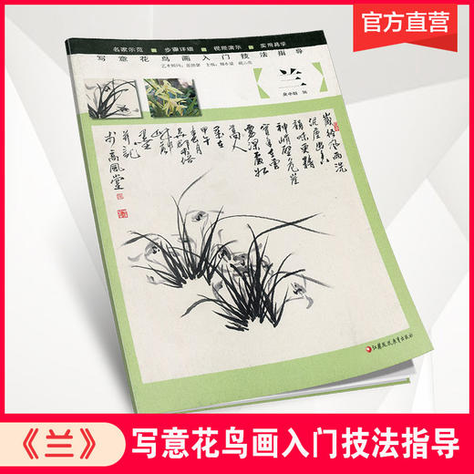 写意花鸟画入门技法指导·荷花 菊 兰 凌霄 梅 商品图2