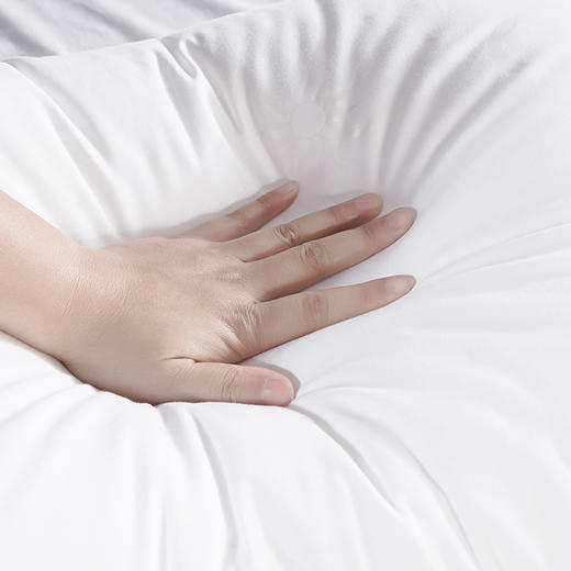 【云粉节】10楼 安睡宝 全棉星月印花舒睡枕48×74cm 吊牌价518元/对 活动价129元/对 商品图2