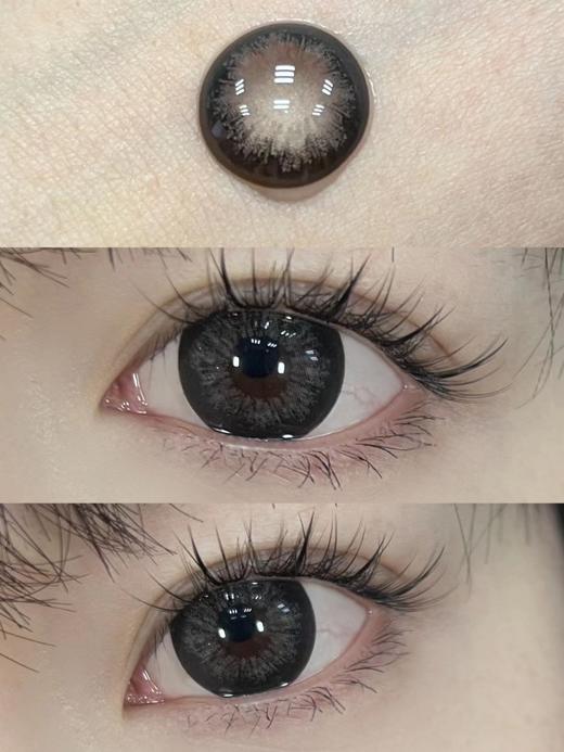 【大直径】SPRINGCON-酒酿芝麻14.5mm【年抛 0-800度 含525/575】 商品图8