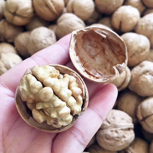 【宜昌助农馆】兴山薄皮核桃  颗粒饱满 香脆可口  500g/袋 商品图3