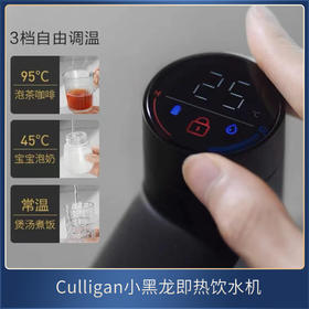 Culligan康丽根小黑龙即热净水器  AVE-T2800  加热直饮一体机RO反渗透净水机