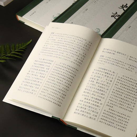 【史家之绝唱懂历史懂人心】《史记》（岳麓书社出品，精装礼盒全9册）| 轻松读懂3000年史学光辉 商品图11