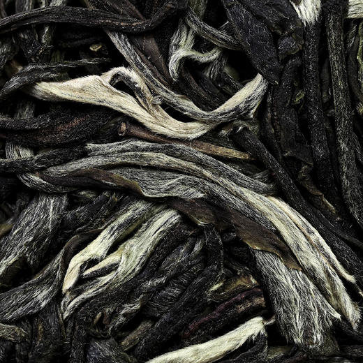 【古寨春秘境入门版】古寨春标杆入门系列，为普洱证明，为店铺证明拍5发6拍20发25 357g/饼 商品图3