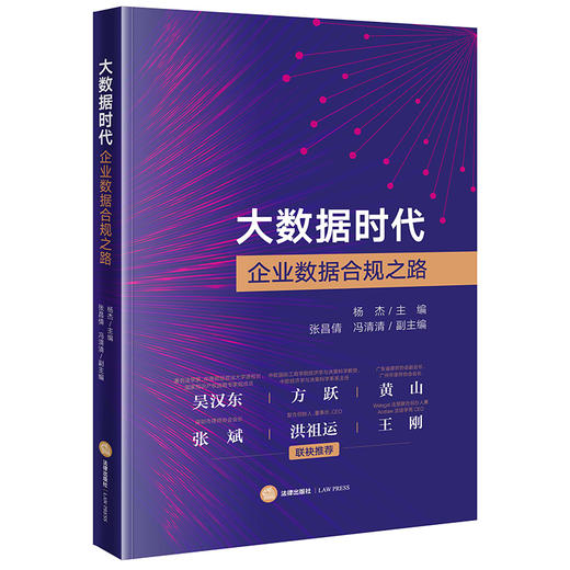 大数据时代企业数据合规之路  杨杰主编 张昌倩 冯清清副主编 商品图5