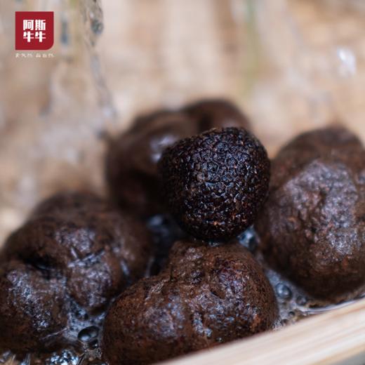 【凉山精选】大凉山会东黑松露1斤/3斤装 鲜松露 商品图3