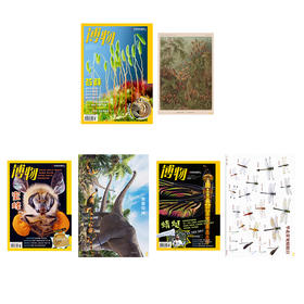 【超值赠海报】《博物》杂志2022年3月/6月/9月任选赠海报 苔藓 蜜蜂 恐龙 蜻蜓主题  包邮