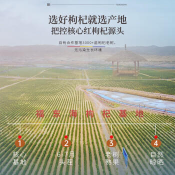 福东海 宁夏特级红枸杞子500g 【京东热卖榜TOP1 】头茬正宗免洗苟杞子 商品图3